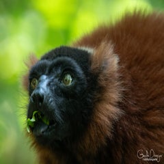 dsc_07853.jpg