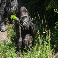 dsc_11503.jpg