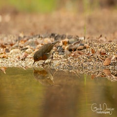 dsc_86113.jpg