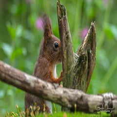dsc_90973.jpg