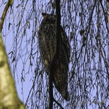 DSC_55342.jpg
