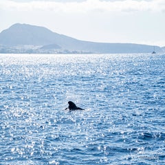 dsc_47463.jpg