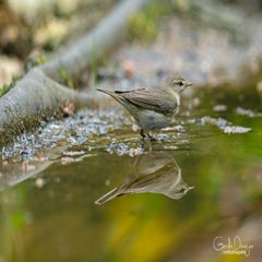 dsc_92843.jpg