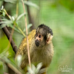dsc_79093.jpg