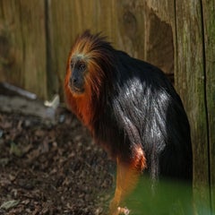 dsc_13622-2.jpg