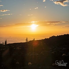 dsc_45113.jpg