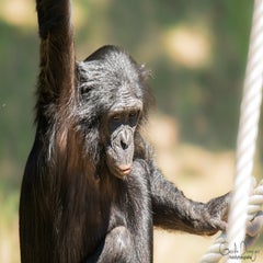 dsc_07683.jpg