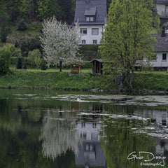 dsc_08792.jpg