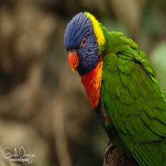 dsc_17803.jpg