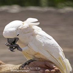 dsc_52232.jpg