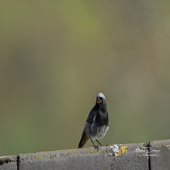 dsc_05842.jpg