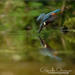 dsc_36412.jpg