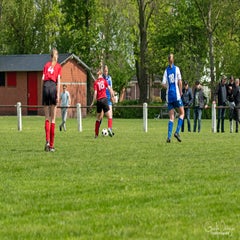 dsc_82342.jpg