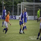 DSC_13462-1.jpg