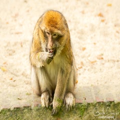 dsc_79203.jpg