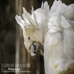 dsc_50422.jpg