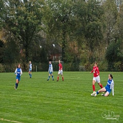 dsc_91402.jpg