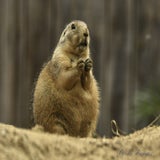 DSC_35302.jpg