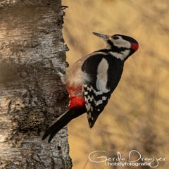 dsc_00043.jpg