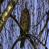 DSC_55722.jpg