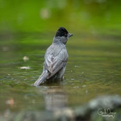 dsc_92983.jpg