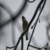 DSC_53092.jpg