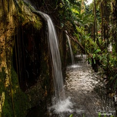 dsc_15923.jpg