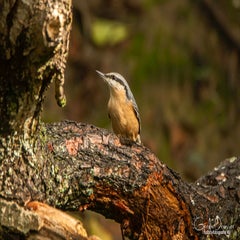 dsc_58202-1.jpg