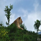 DSC_0640.jpg
