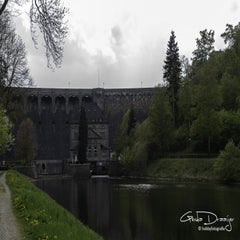 dsc_08862.jpg
