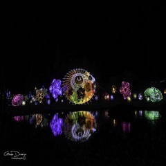 dsc_92282.jpg