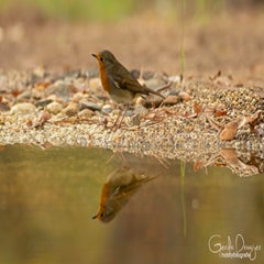 dsc_86093.jpg