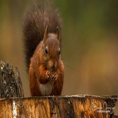 dsc_83693.jpg