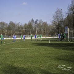 dsc_87532.jpg