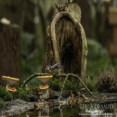 dsc_70092.jpg