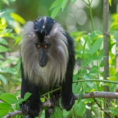dsc_13153.jpg