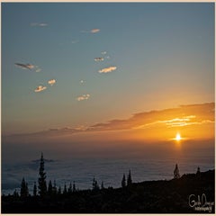 dsc_45273.jpg