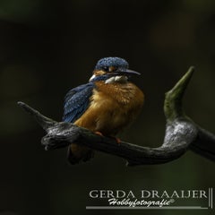dsc_12612.jpg