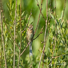 dsc_28402.jpg