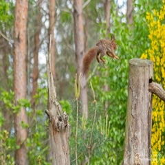 dsc_91053.jpg