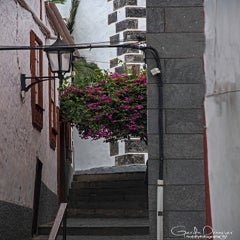 dsc_52302.jpg