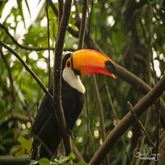 dsc_15623.jpg