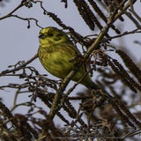 DSC_70002.jpg