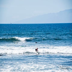 dsc_46653.jpg