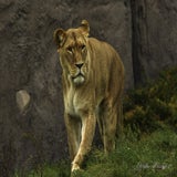 DSC_35572.jpg