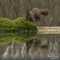 dsc_94012.jpg