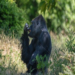 dsc_10073.jpg