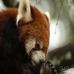 dsc_78462.jpg