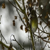DSC_54092.jpg