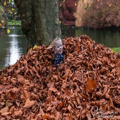 dsc_93153.jpg